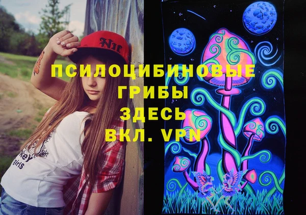 гидропоника Арсеньев