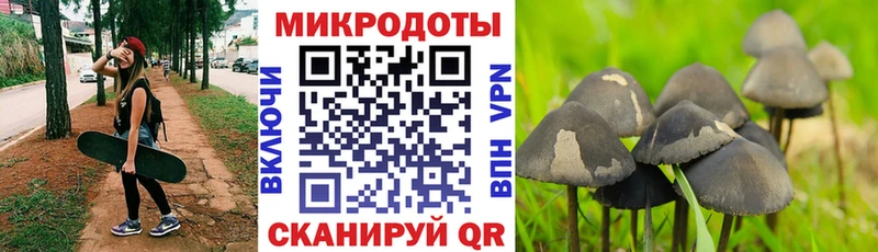 Псилоцибиновые грибы мухоморы  что такое   Михайловск 
